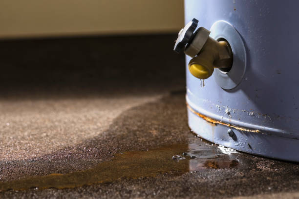 Best Ceiling water damage repair  in Tome, NM
