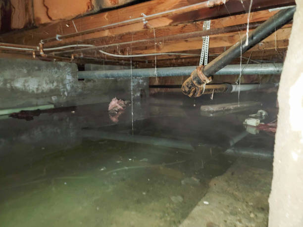  Tome, NM Water damage restoration Pros