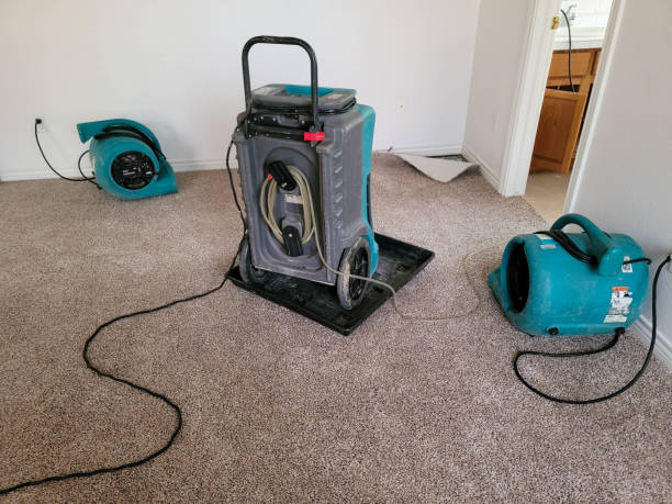  Tome, NM Water damage restoration Pros