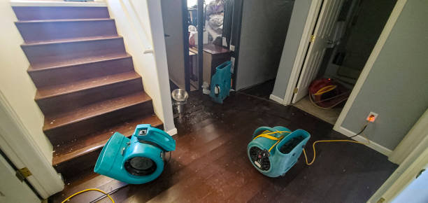 Best Flood restoration services  in Tome, NM
