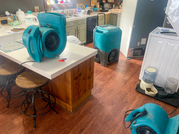 Best Basement water damage restoration  in Tome, NM