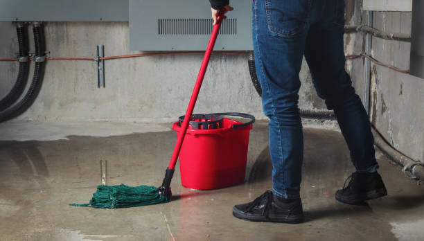 , NM Water damage restoration Company