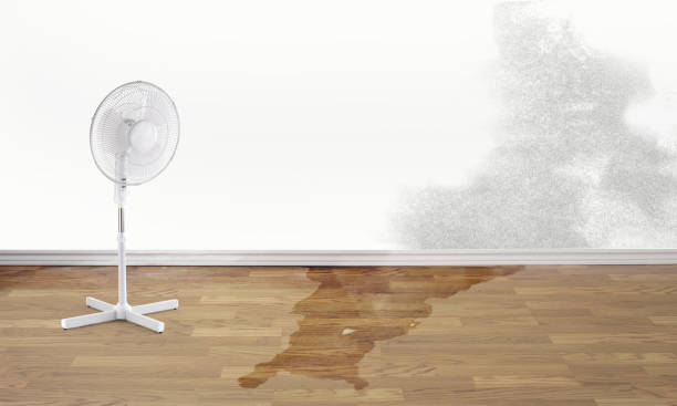 24/7 water damage repair in NM