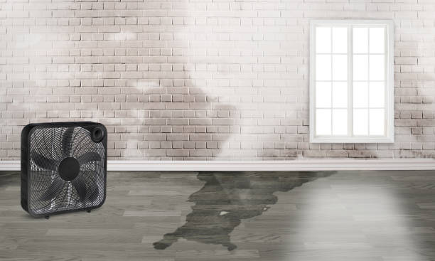 Best 24/7 water damage repair  in Tome, NM