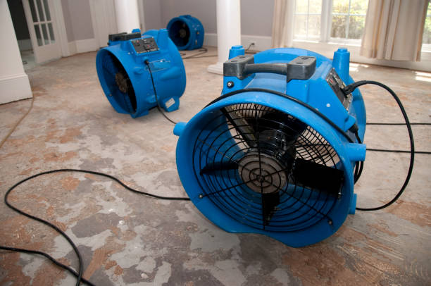 Best Local water damage restoration  in Tome, NM