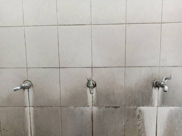 Best 24-hour water damage restoration  in Tome, NM
