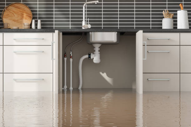 Best Water damage restoration near me  in Tome, NM