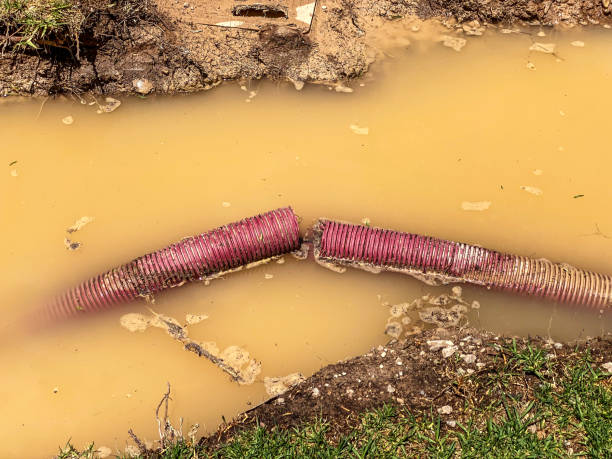 Best Water damage restoration mold remediation  in Tome, NM
