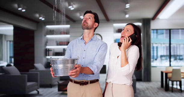 Water damage restoration experts in NM