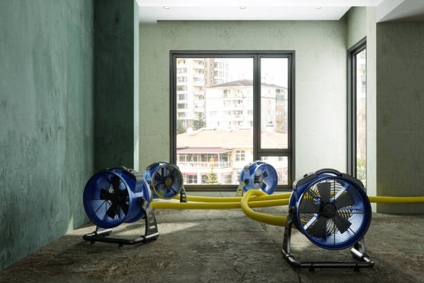 Best Mold removal after water damage  in Tome, NM